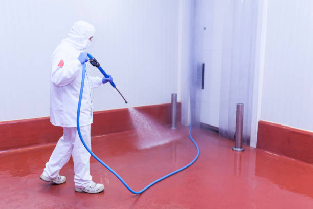 Best House Exterior Washing  in Highland Beach, FL